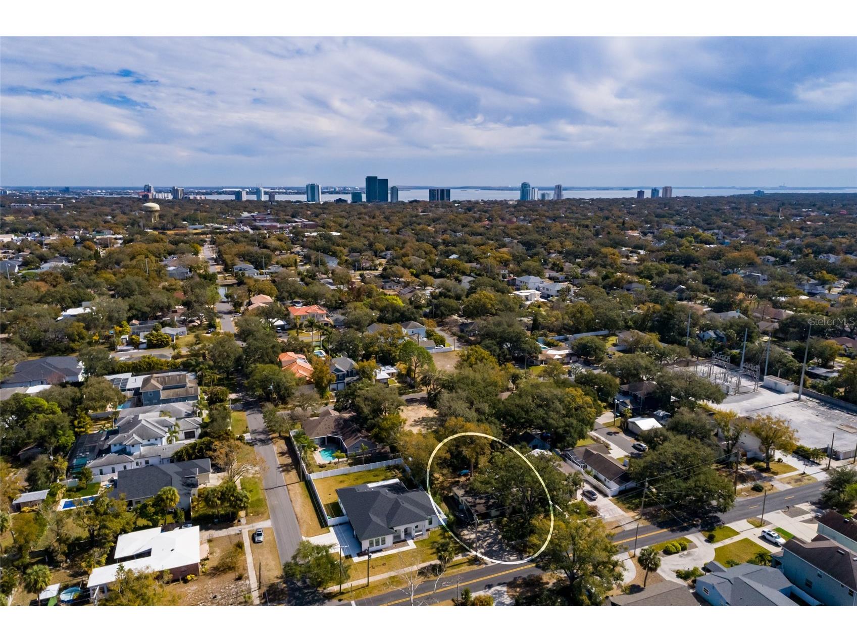 2306 S Lois Avenue Tampa FL 33629 TB8481115 image2