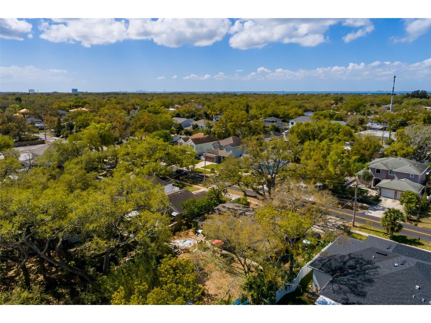 2306 S Lois Avenue Tampa FL 33629 TB8481115 image22