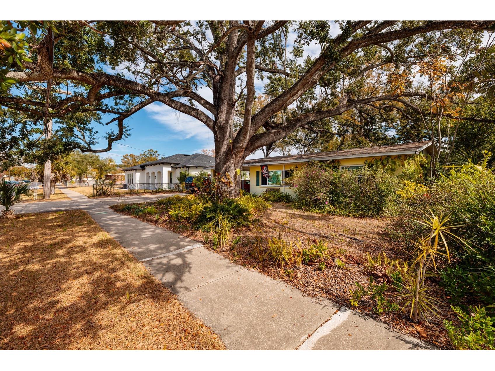 2306 S Lois Avenue Tampa FL 33629 TB8481115 image3