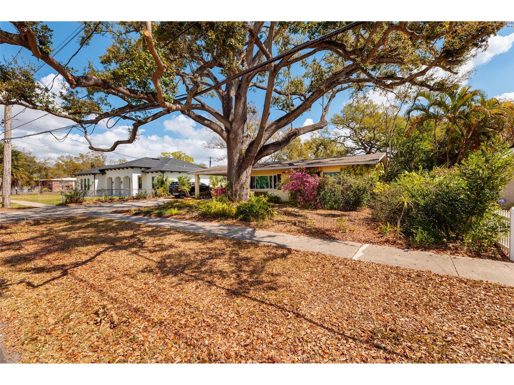 2306 S Lois Avenue Tampa FL 33629 TB8481115 image8