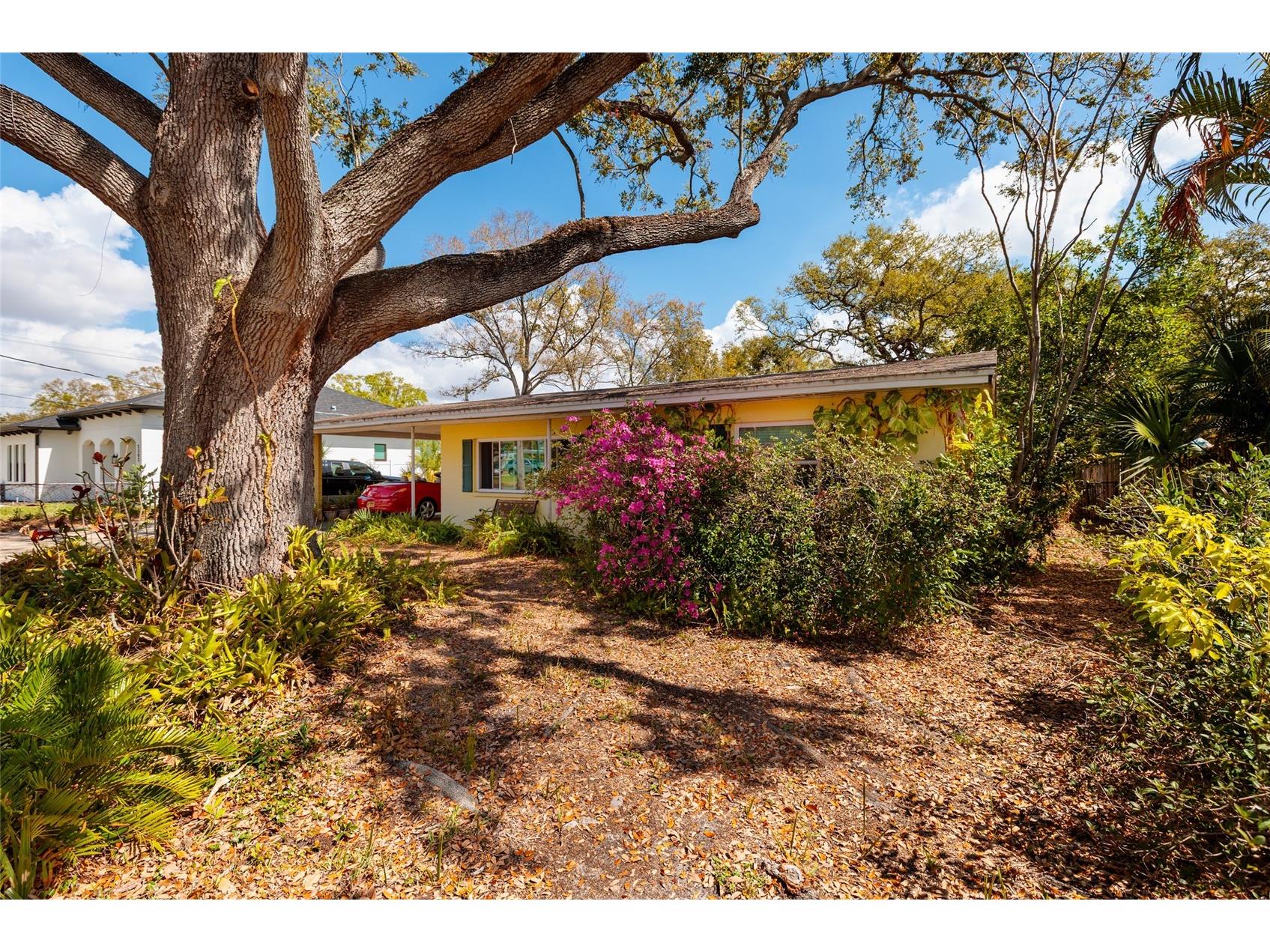 2306 S Lois Avenue Tampa FL 33629 TB8481115 image9
