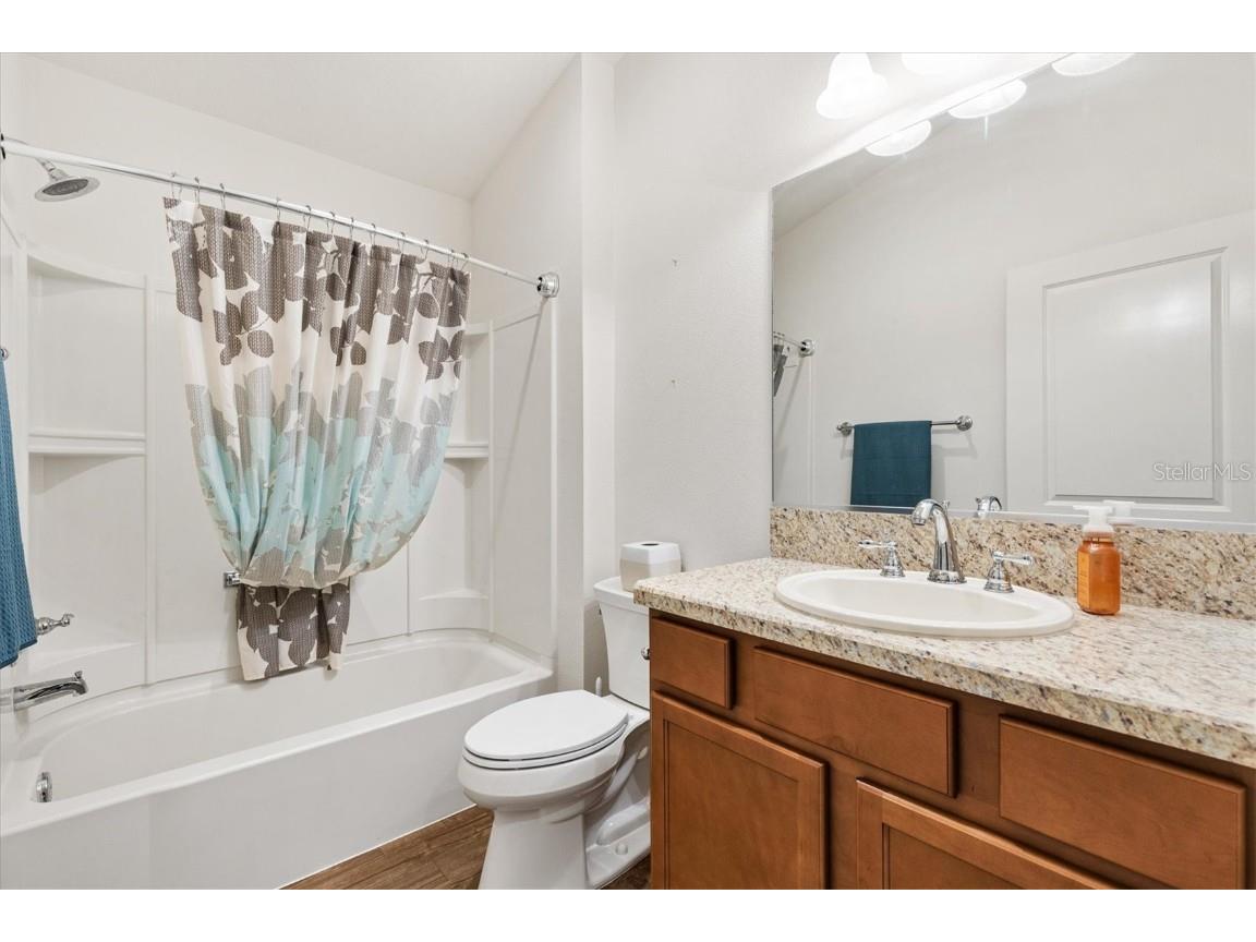 2306 Sheehan Street The Villages FL 32163 G5099570 image23