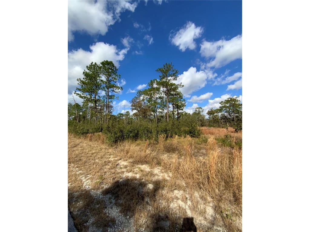 23063 SW Edgewater Boulevard Dunnellon FL 34431 OM713608 image18