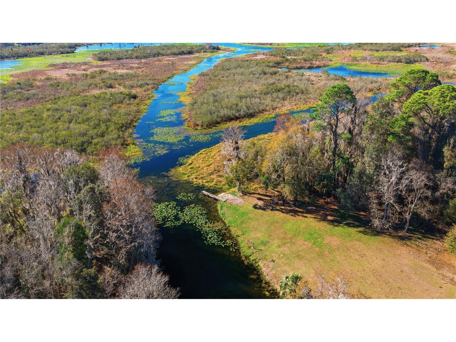 23065 SW 119th Place Dunnellon FL 34431 - WITHLACOOCHEE OM717196 image15