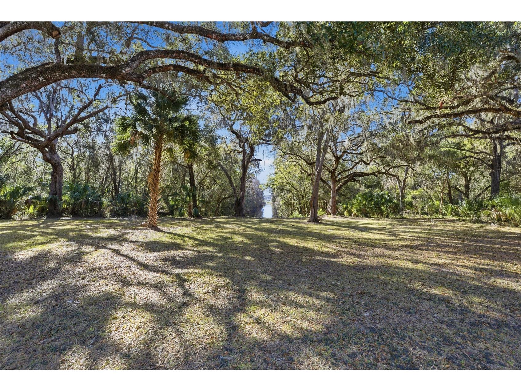 23065 SW 119th Place Dunnellon FL 34431 - WITHLACOOCHEE OM717196 image42