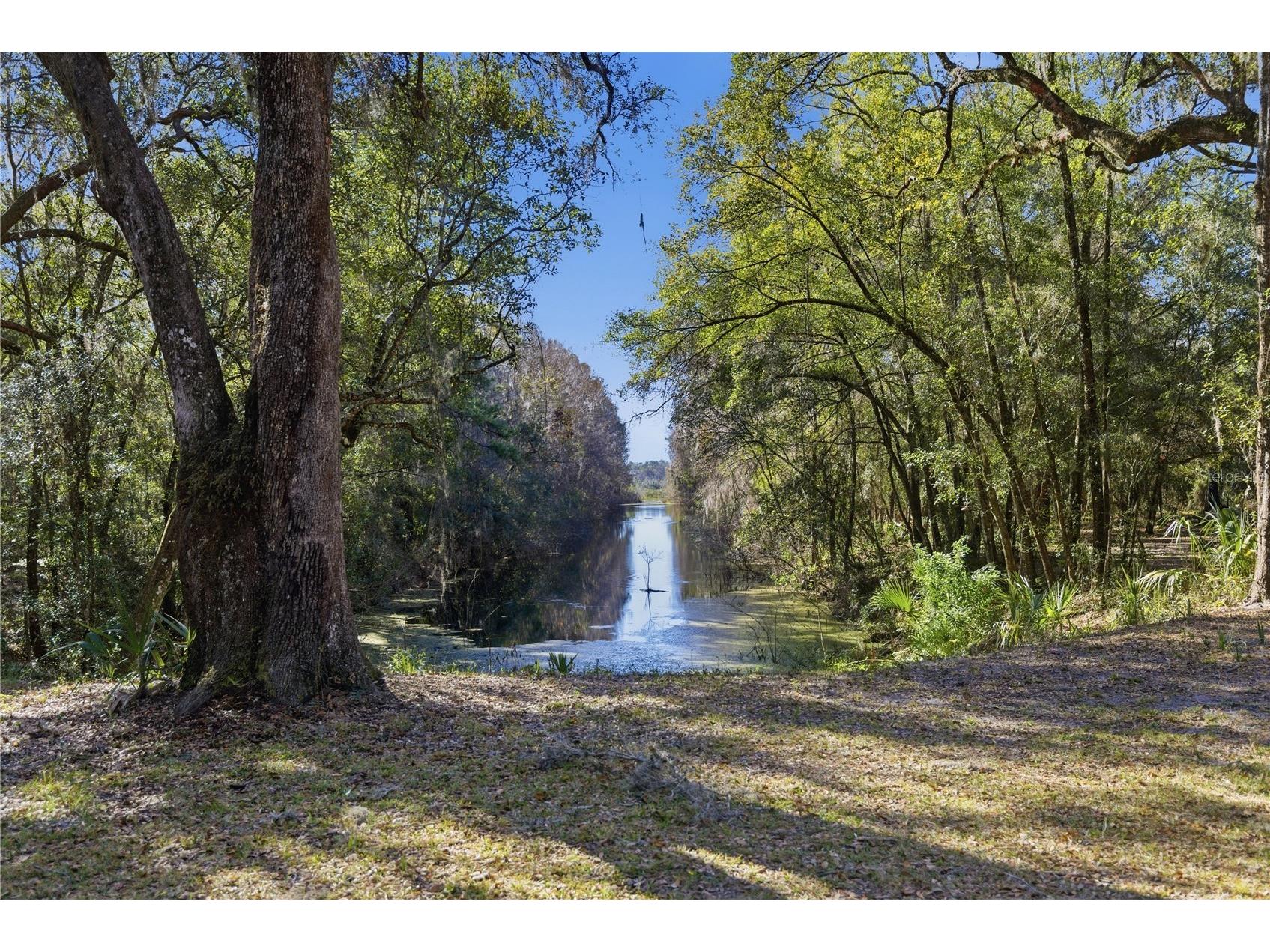 23065 SW 119th Place Dunnellon FL 34431 - WITHLACOOCHEE OM717196 image43