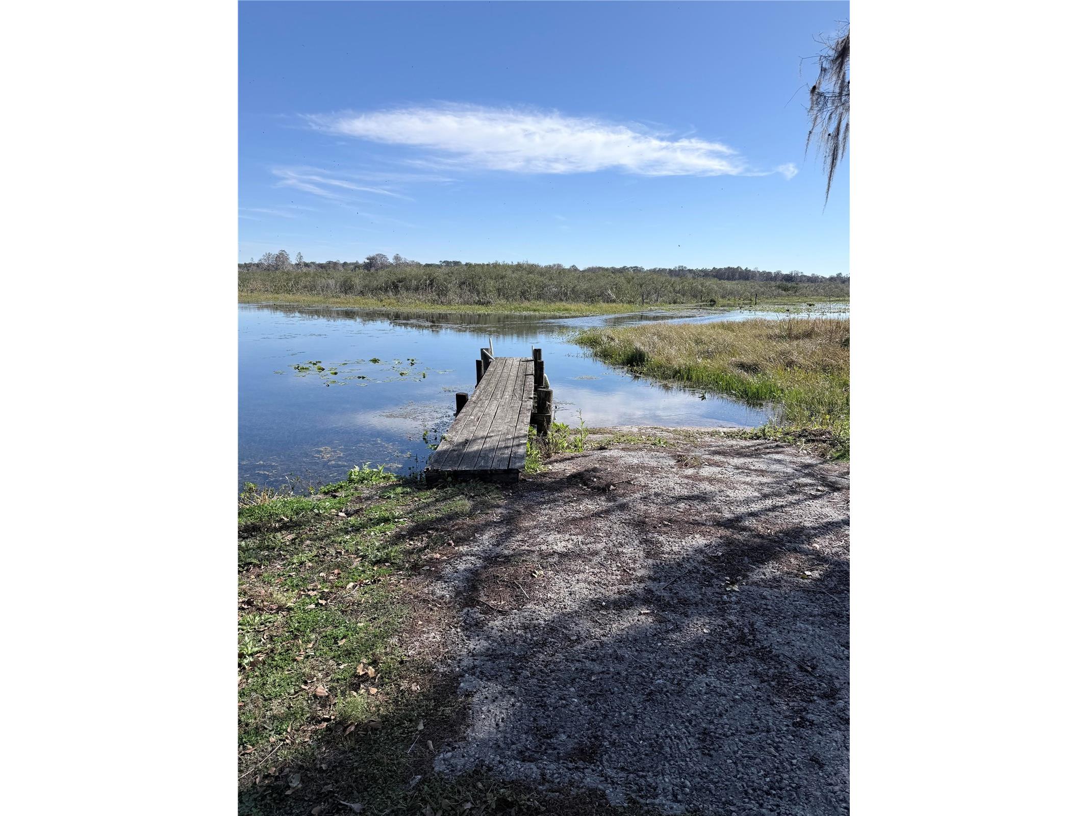23065 SW 119th Place Dunnellon FL 34431 - WITHLACOOCHEE OM717196 image5