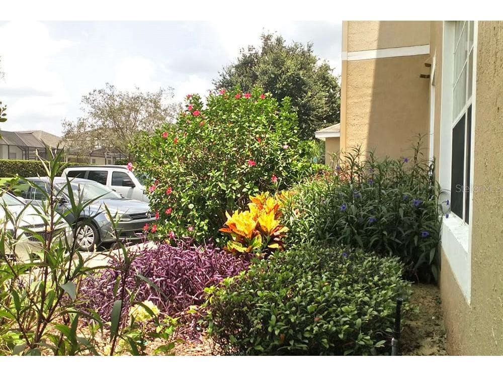 2307 Butterfly Palm Way #102 Kissimmee FL 34747 S5147939 image7