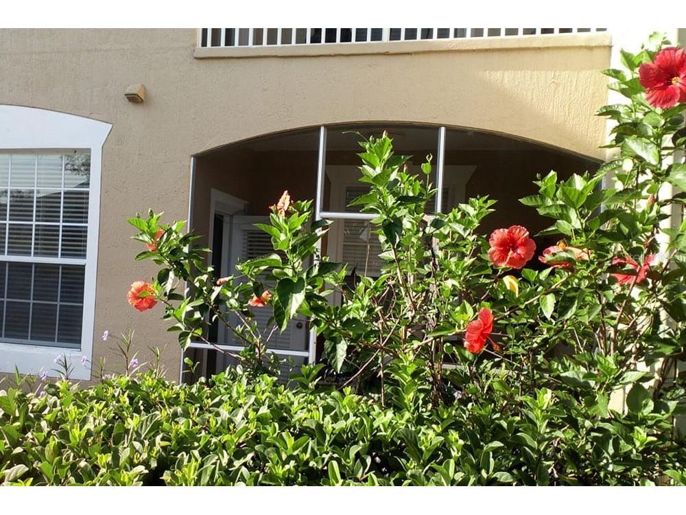 2307 Butterfly Palm Way # 102 Kissimmee FL 34747 S5148186 image13