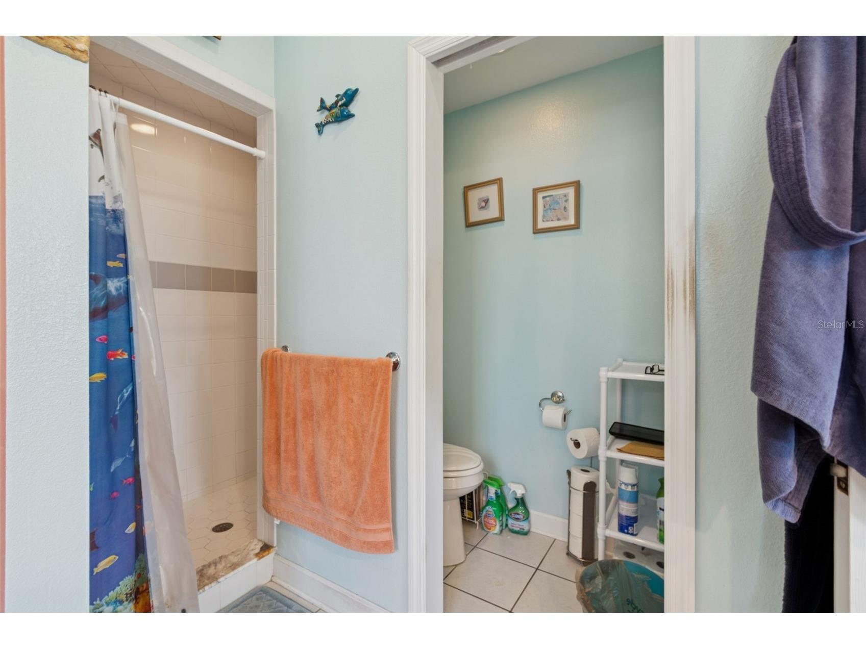 2307 Cass Road Lake Alfred FL 33850 - LAKE GRIFFIN TB8468336 image25