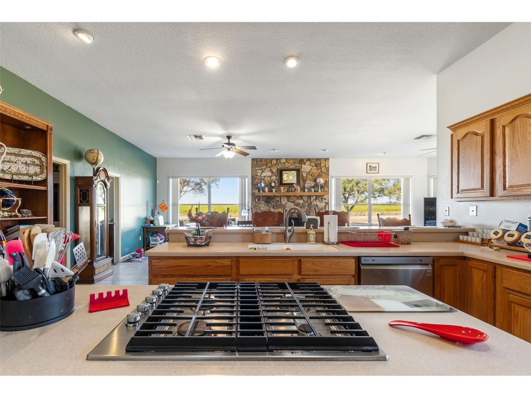 2307 Cass Road Lake Alfred FL 33850 - LAKE GRIFFIN TB8468336 image33