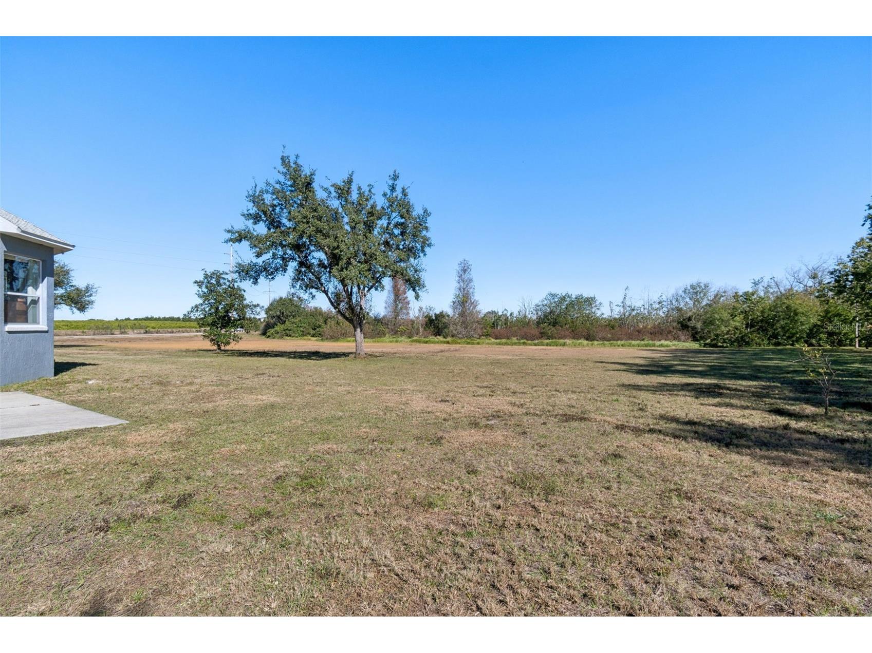 2307 Cass Road Lake Alfred FL 33850 - LAKE GRIFFIN TB8468336 image48