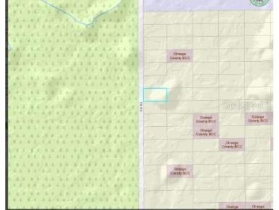 2307 Dill Road Orlando FL 32820 O6247901 image2