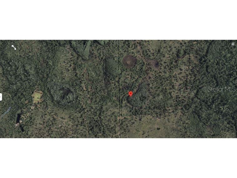 2307 Dill Road Orlando FL 32820 O6247901 image3