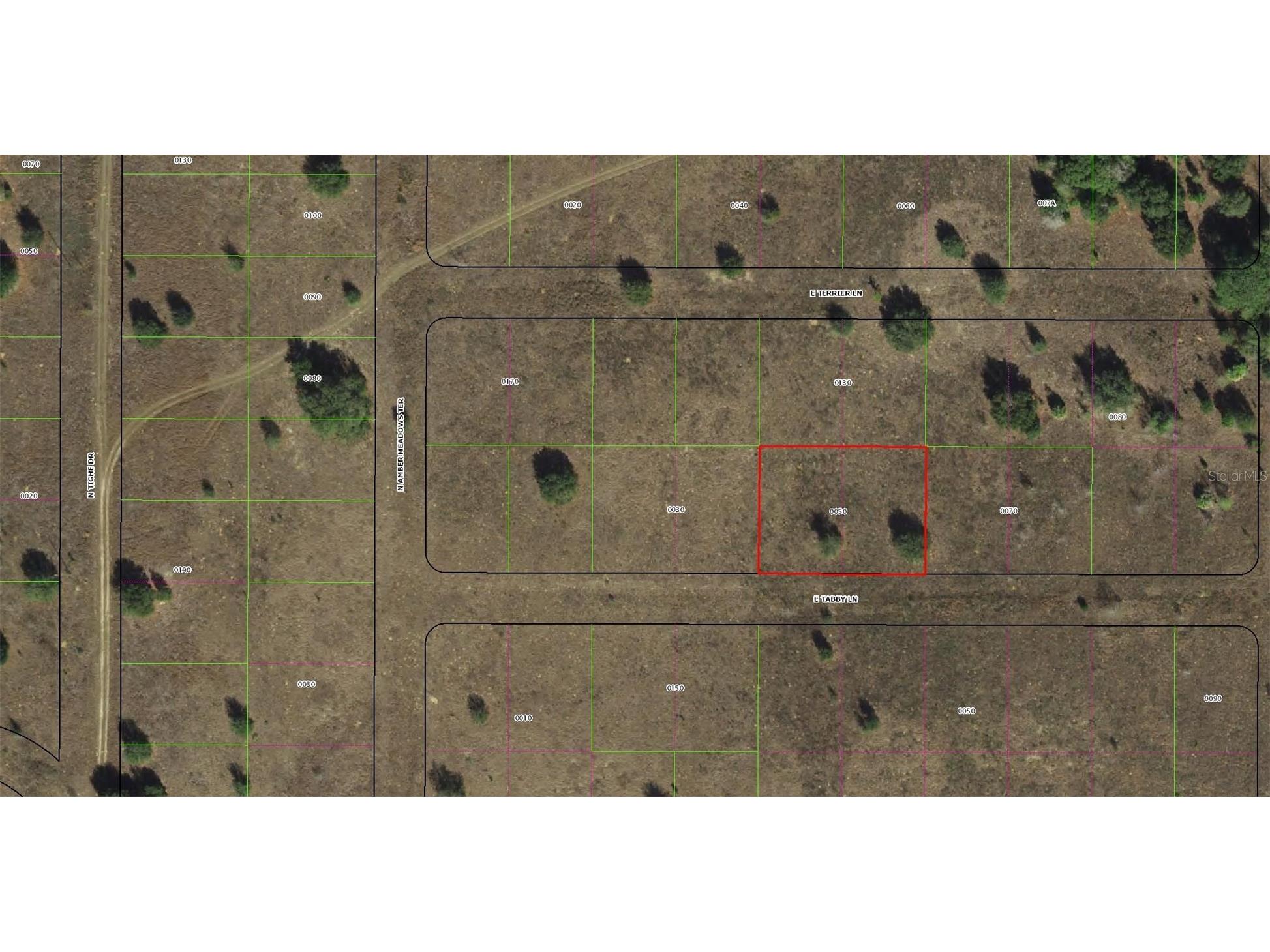 2307 E Tabby Lane Inverness FL 34453 OM725603 image1