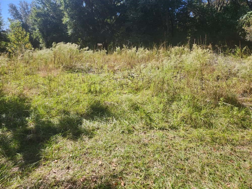 2307 Garfield Street Inverness FL 34453 TB8442124 image14