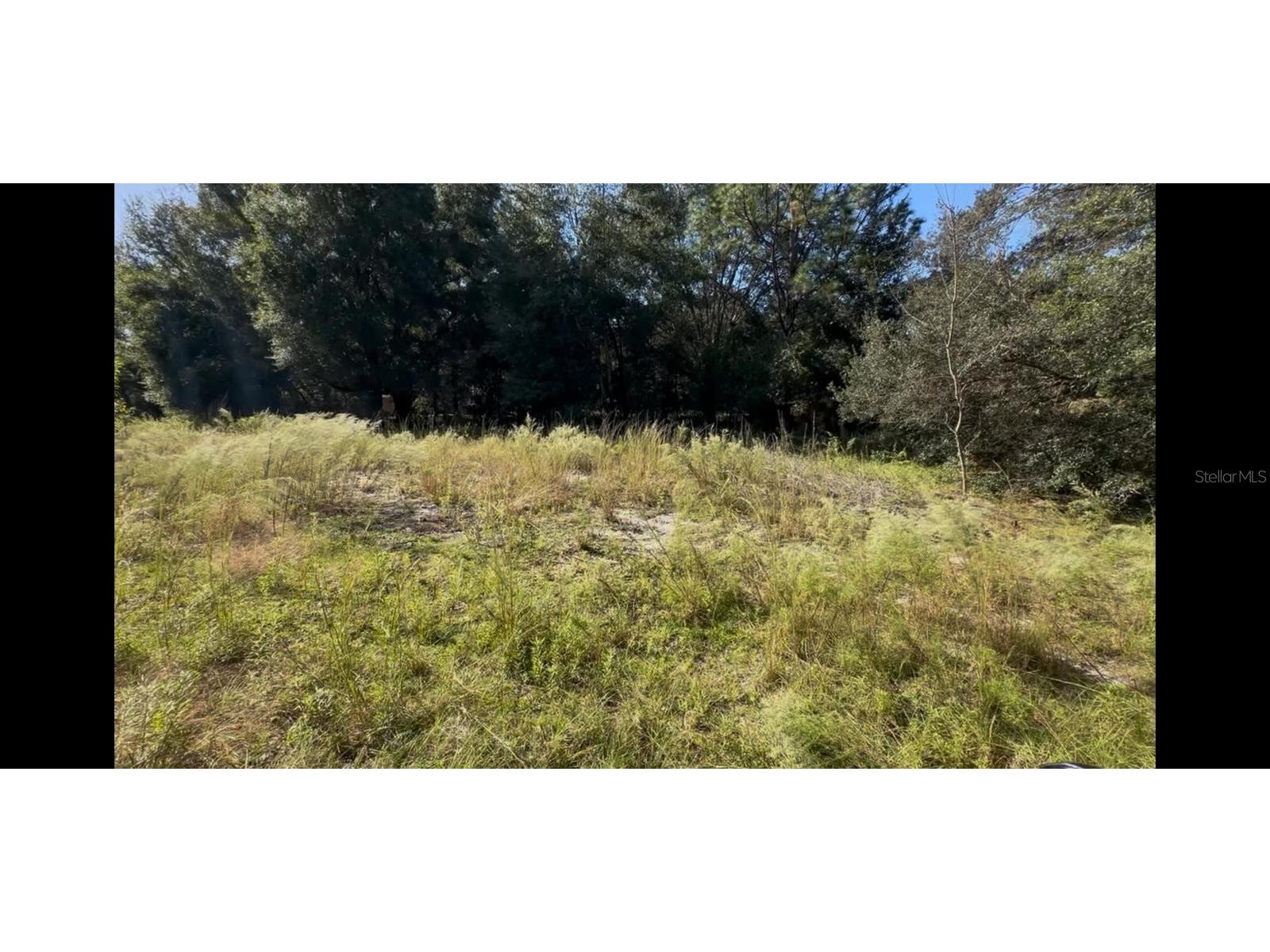 2307 Garfield Street Inverness FL 34453 TB8442124 image18