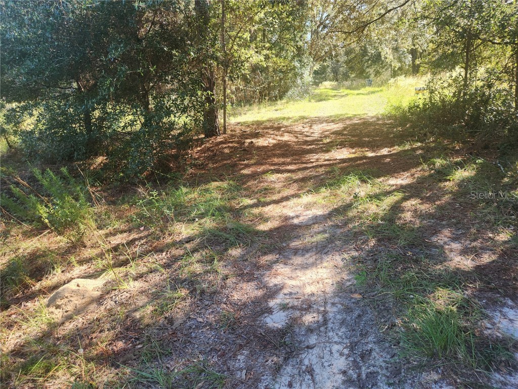 2307 Garfield Street Inverness FL 34453 TB8442124 image20