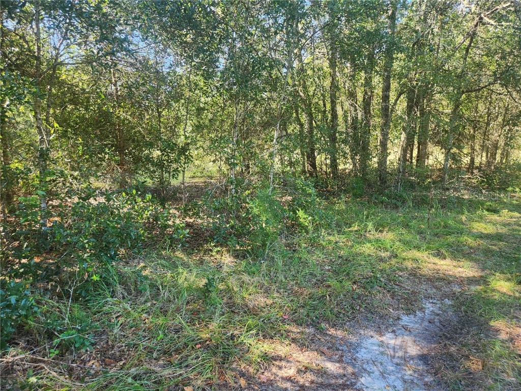 2307 Garfield Street Inverness FL 34453 TB8442124 image22