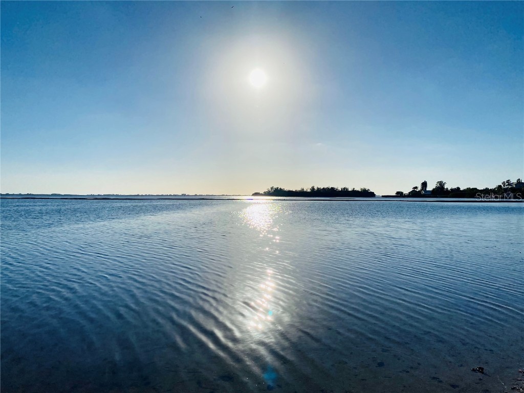 2307 New York Avenue Bradenton FL 34207 - SARASOTA BAY A4635018 image96