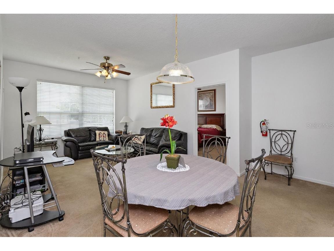 2307 Silver Palm Dr #202 Kissimmee FL 34747 T3414783 image10