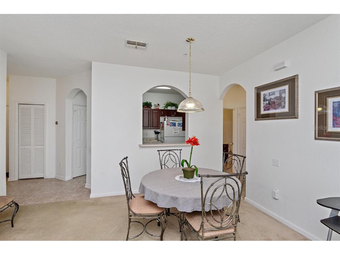 2307 Silver Palm Dr #202 Kissimmee FL 34747 T3414783 image8