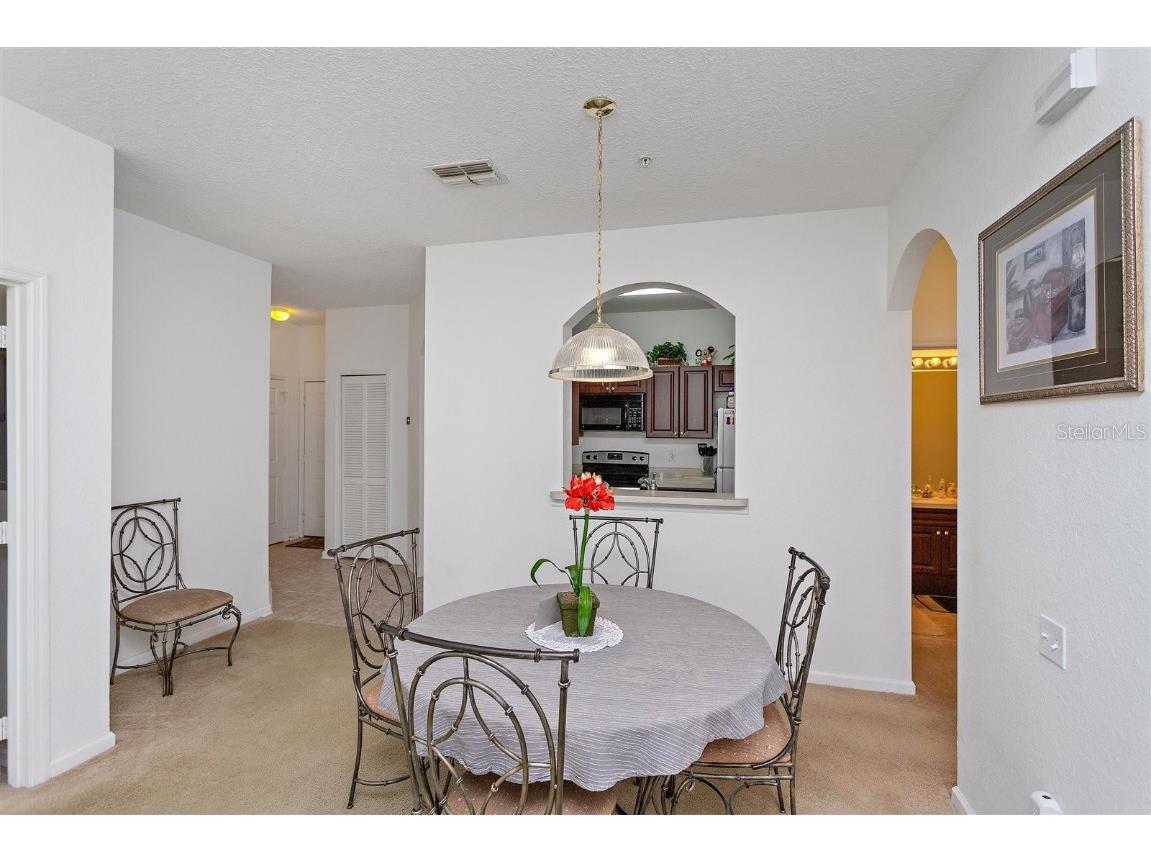 2307 Silver Palm Dr #202 Kissimmee FL 34747 T3414783 image9