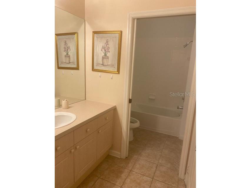 2307 Silver Palm Drive #205 Kissimmee FL 34747 O6414532 image10