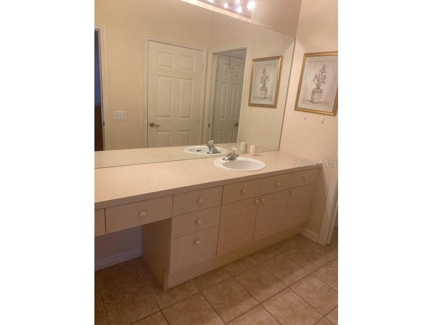 2307 Silver Palm Drive #205 Kissimmee FL 34747 O6414532 image12