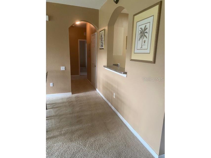 2307 Silver Palm Drive #205 Kissimmee FL 34747 O6414532 image14