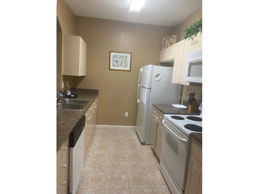 2307 Silver Palm Drive #205 Kissimmee FL 34747 O6414532 image15