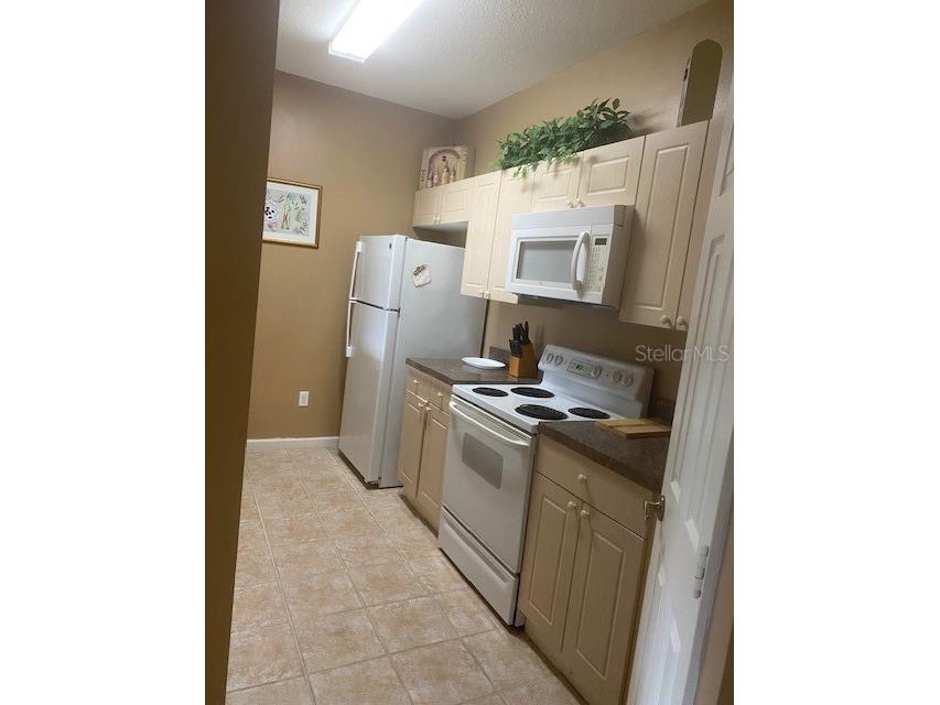 2307 Silver Palm Drive #205 Kissimmee FL 34747 O6414532 image16