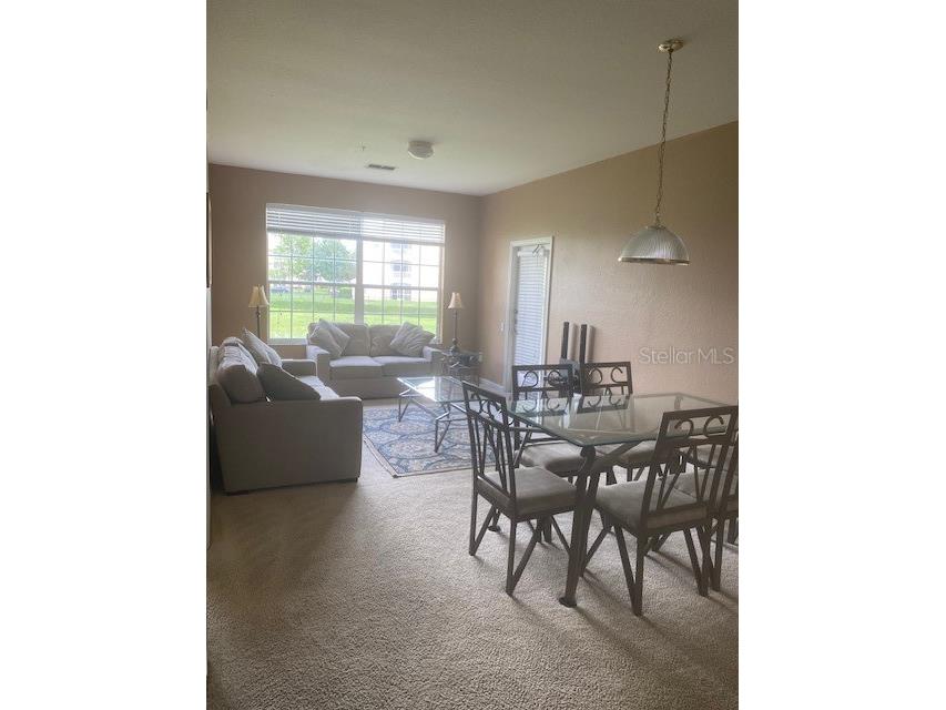 2307 Silver Palm Drive #205 Kissimmee FL 34747 O6414532 image3