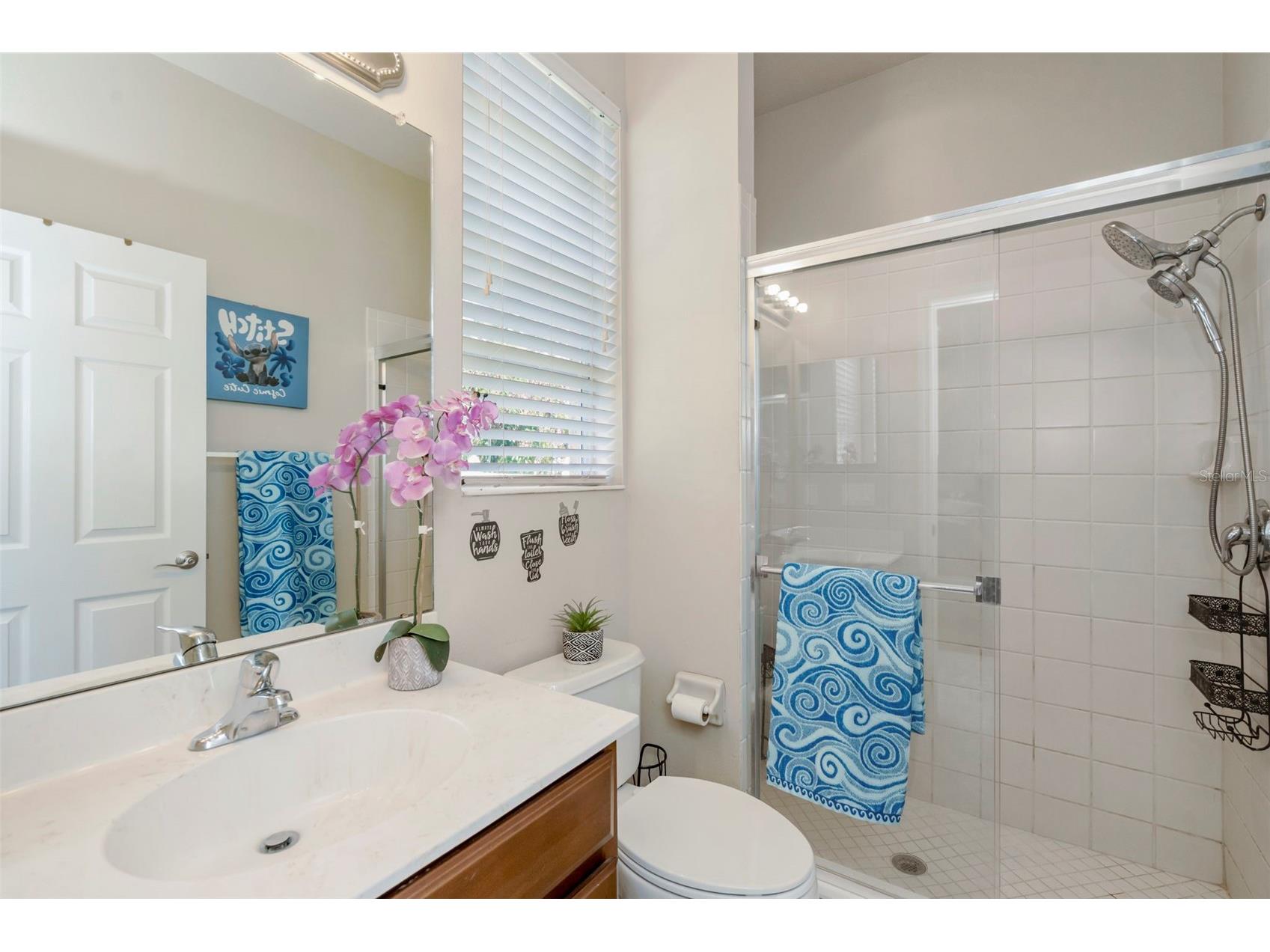 2307 Silver Trumpet Court Valrico FL 33594 TB8517970 image17