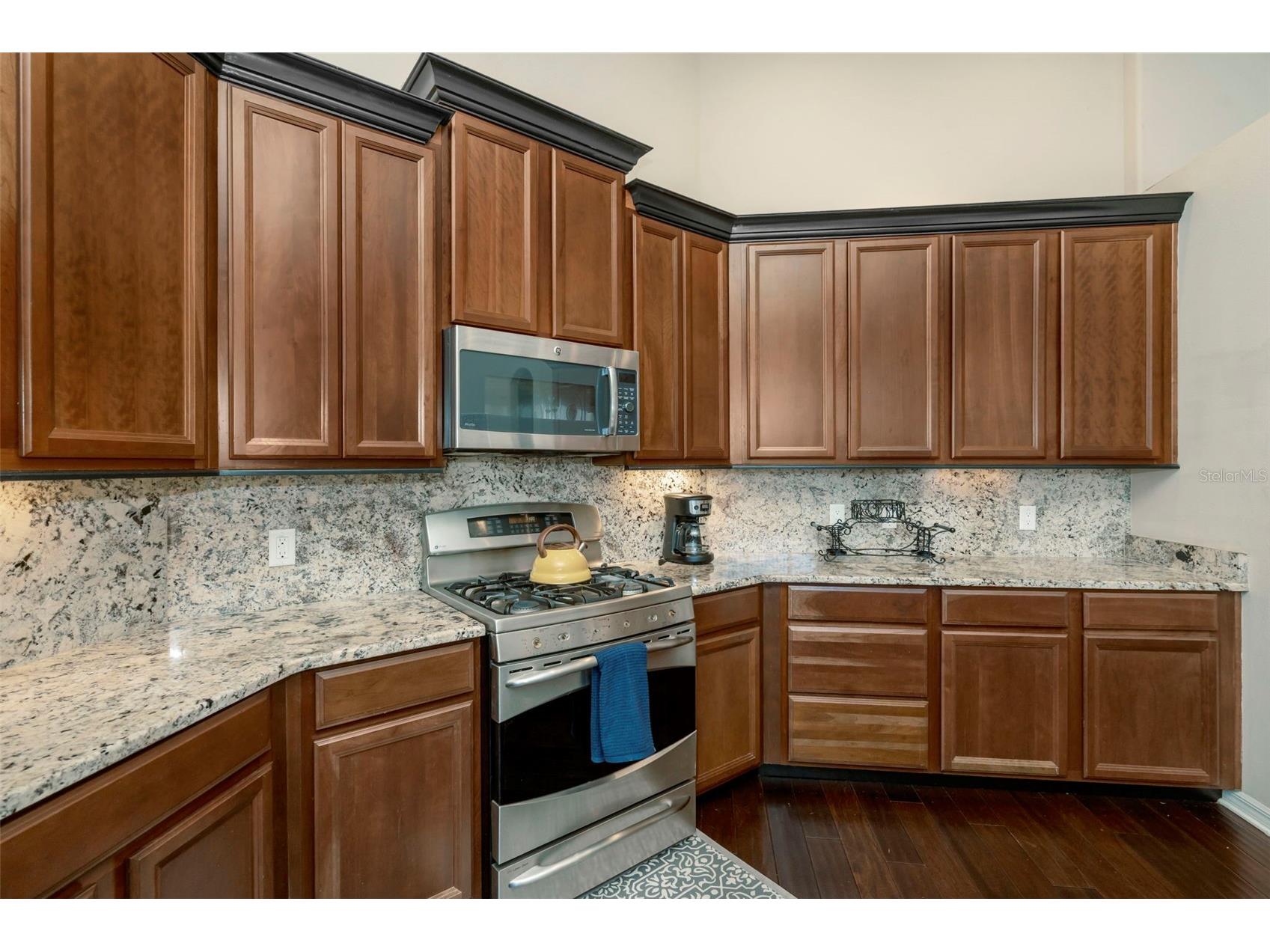 2307 Silver Trumpet Court Valrico FL 33594 TB8517970 image19