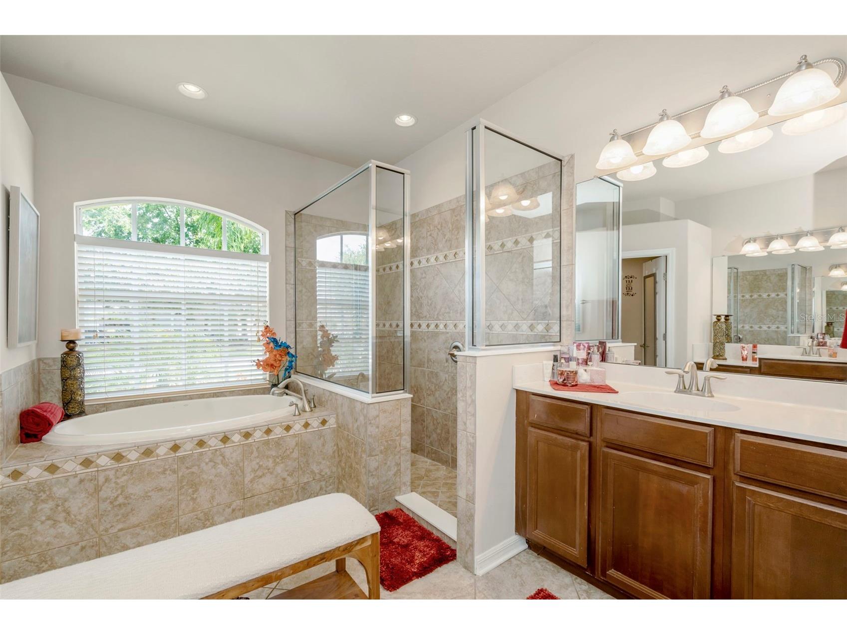 2307 Silver Trumpet Court Valrico FL 33594 TB8517970 image9