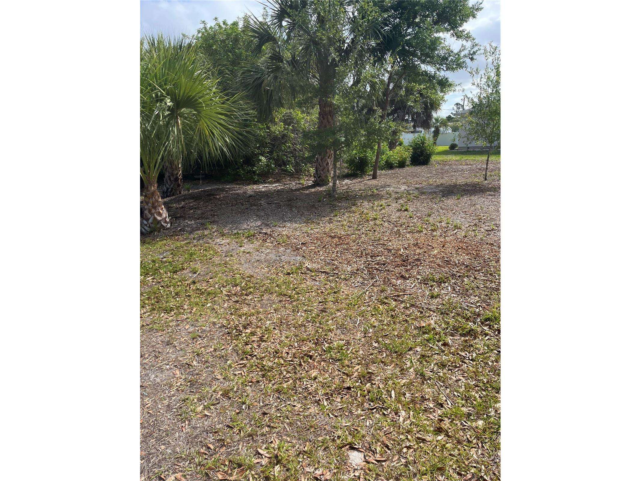 23076 August Avenue Port Charlotte FL 33954 P4938809 image35