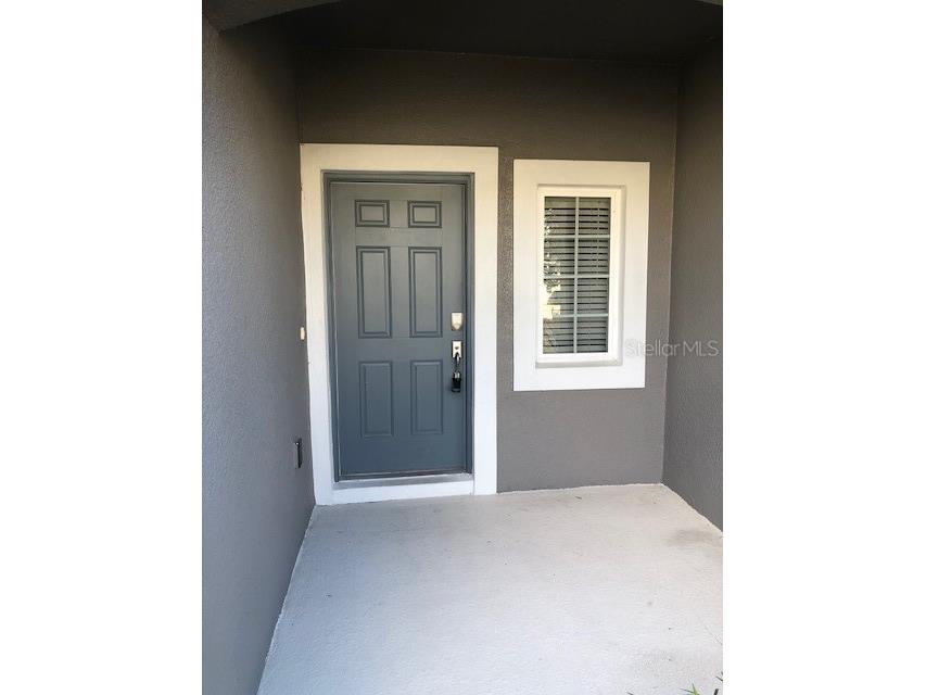 2308 Alee Lane Wesley Chapel FL 33543 TB8467568 image5