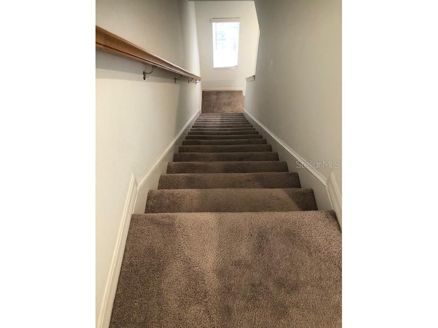 2308 Alee Lane Wesley Chapel FL 33543 TB8467568 image6