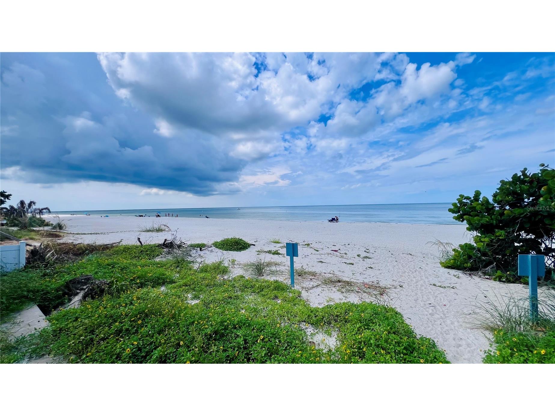 2308 Beach Trail Indian Rocks Beach FL 33785 TB8431711 image3