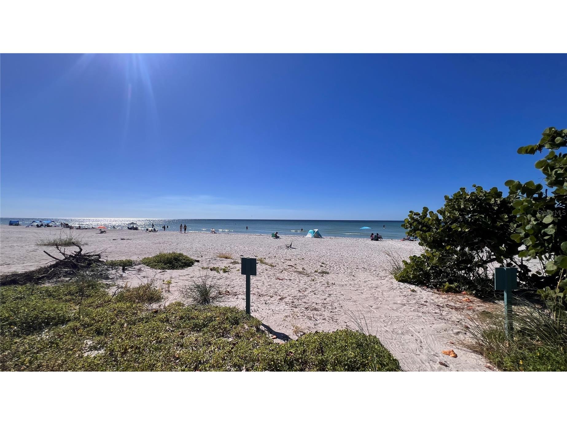 2308 Beach Trail Indian Rocks Beach FL 33785 TB8431711 image36