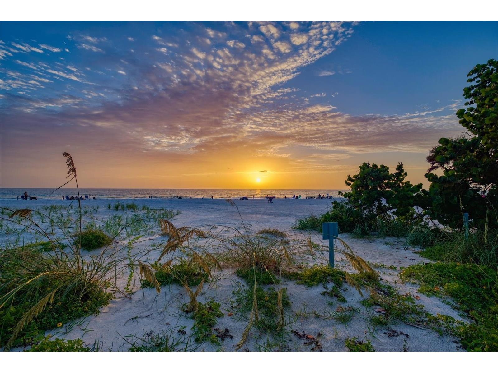 2308 Beach Trail Indian Rocks Beach FL 33785 TB8532303 image56