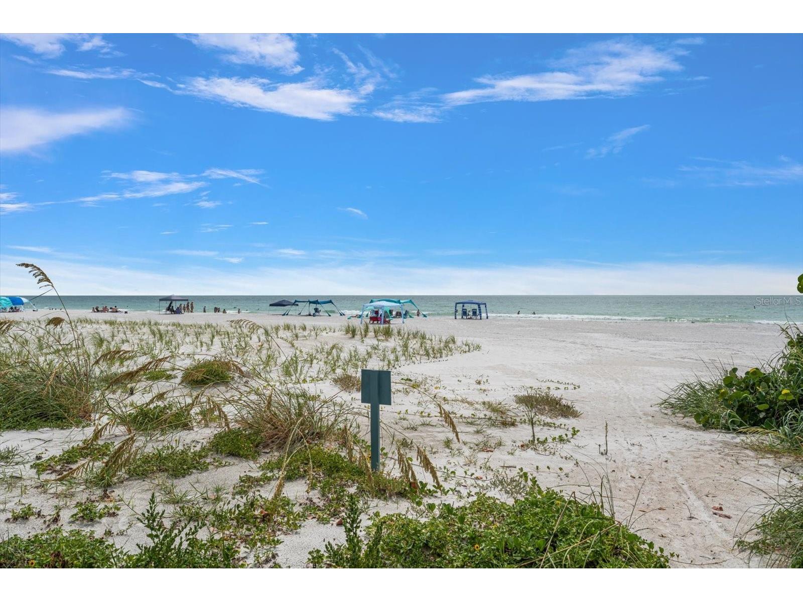 2308 Beach Trail Indian Rocks Beach FL 33785 TB8532303 image62