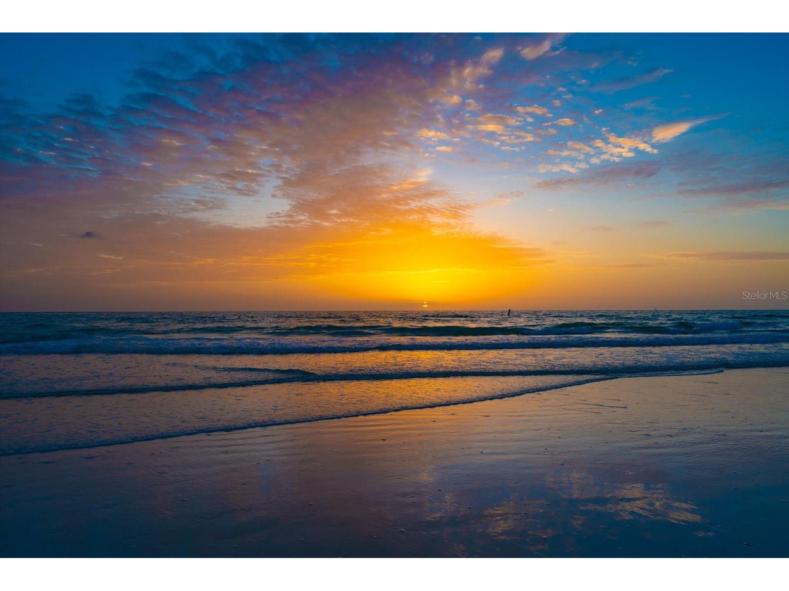 2308 Beach Trail Indian Rocks Beach FL 33785 TB8532303 image69