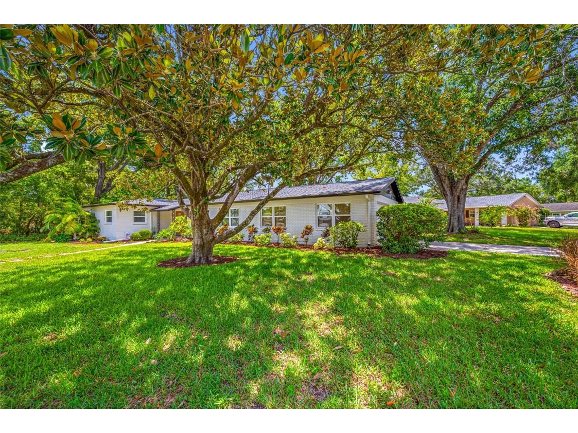 2308 Cape Bend Avenue Tampa FL 33613 - LAKE MAGDALENE TB8399990 image1