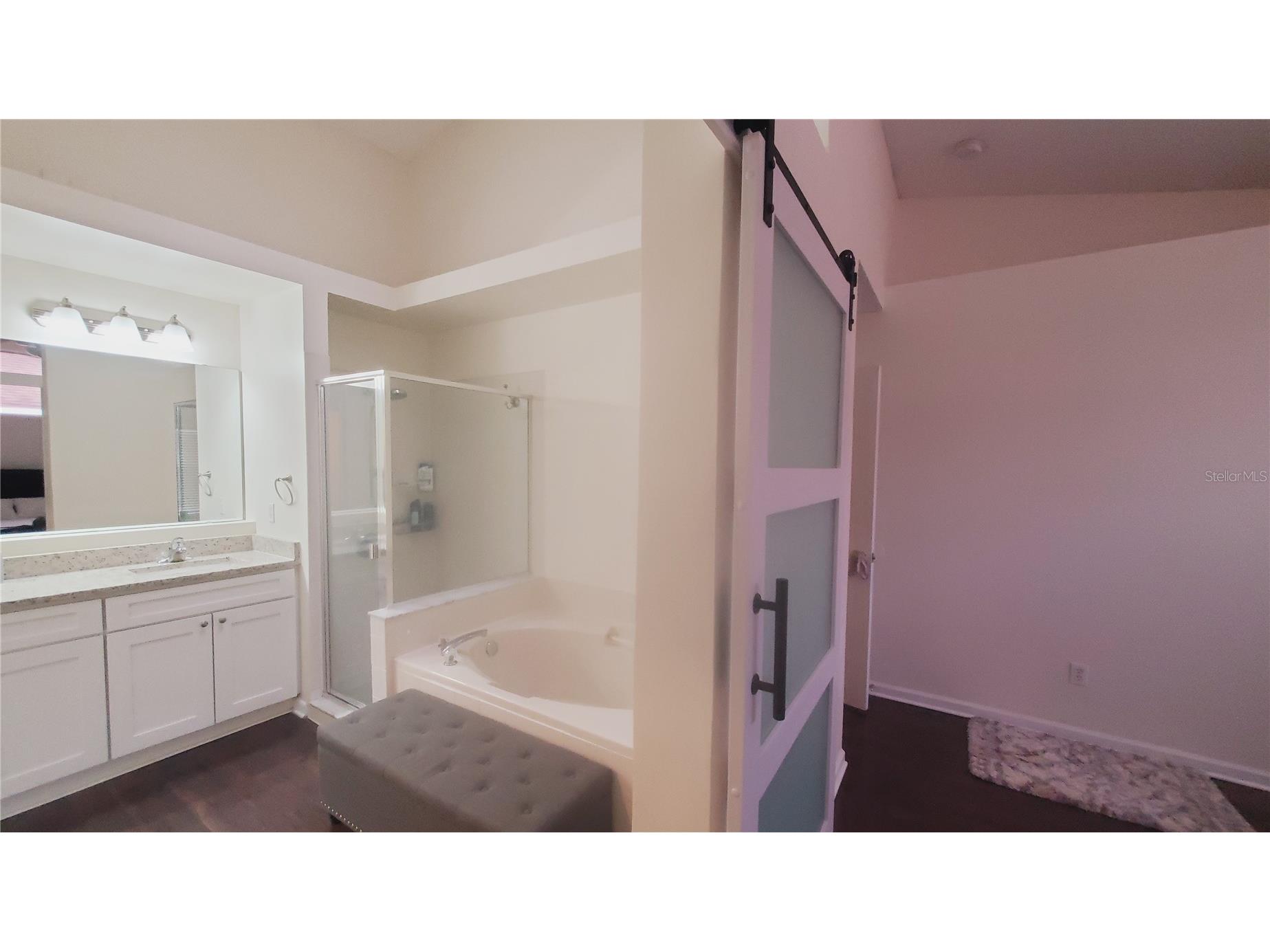 2308 Lily Pad Lane Kissimmee FL 34743 O6420569 image41