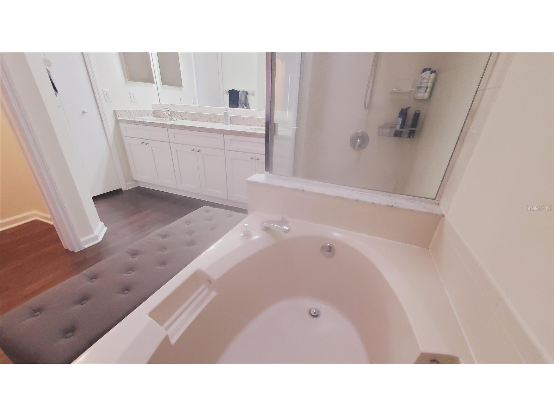 2308 Lily Pad Lane Kissimmee FL 34743 O6420569 image52