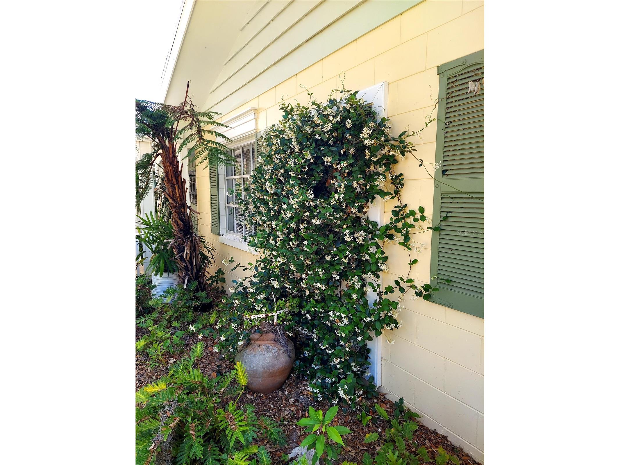 2308 Overlook Drive Mount Dora FL 32757 G5112296 image11