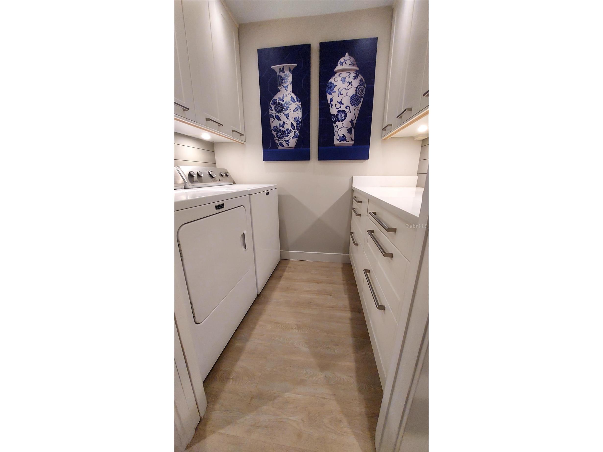 2308 Overlook Drive Mount Dora FL 32757 G5112296 image31