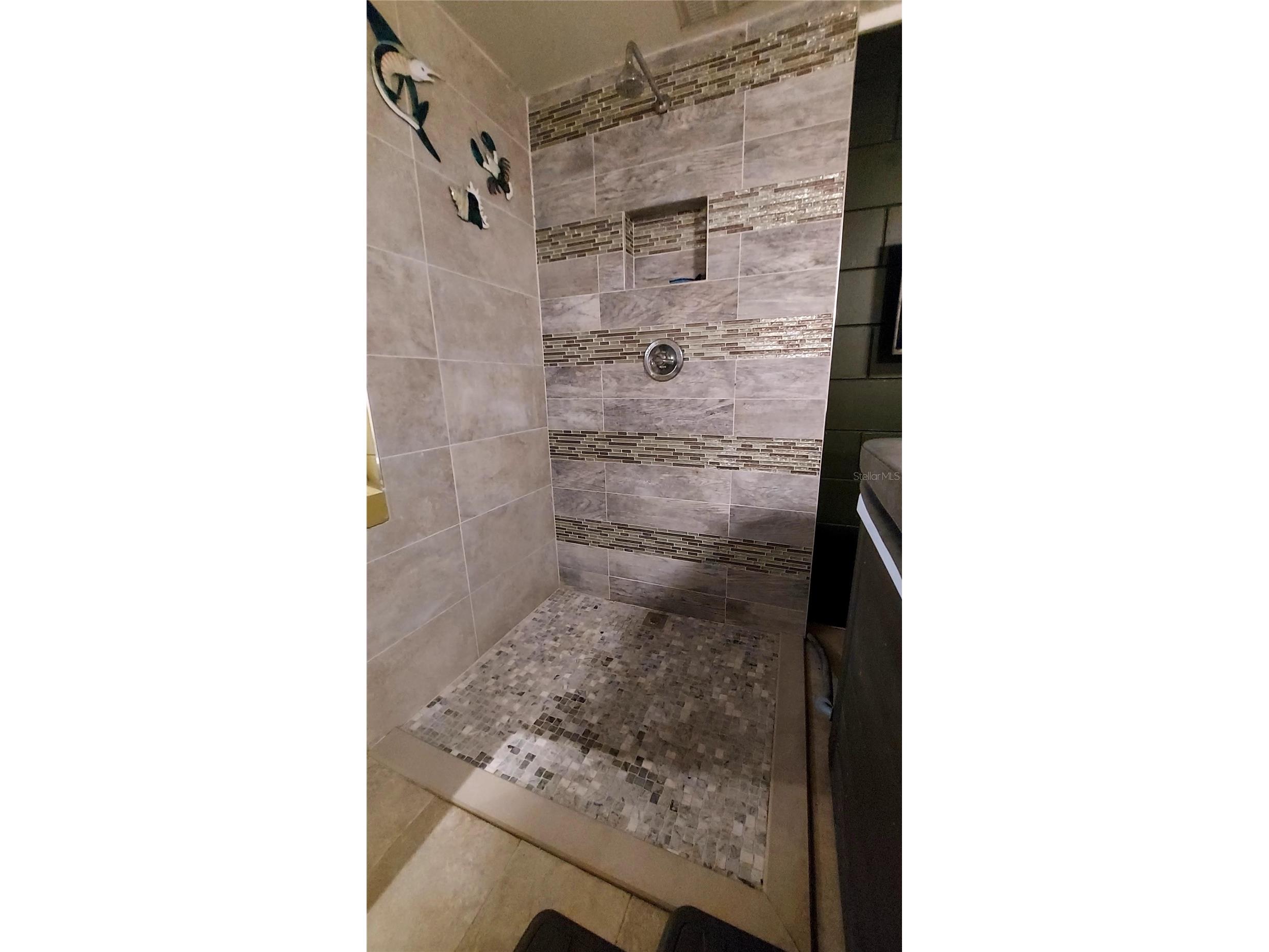 2308 Overlook Drive Mount Dora FL 32757 G5112296 image55